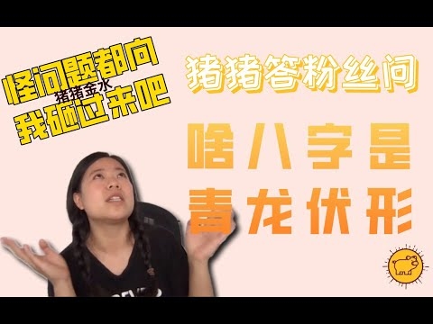 贵命八字，青龙伏形、五行平衡与用神有力组合解析插图