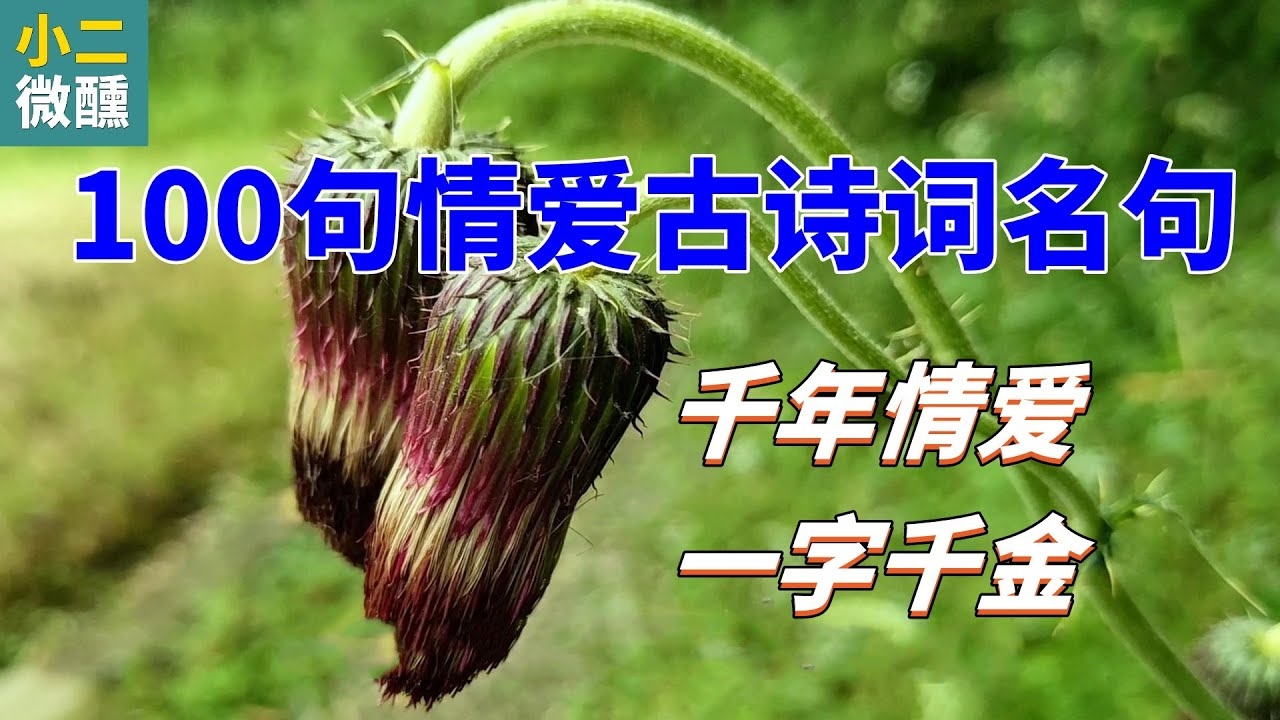 共你白发，期许百年，古风诗意情侣名插图