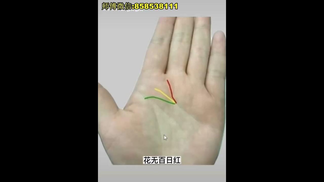 感情线分叉，多情与家庭影响下的爱情之路插图