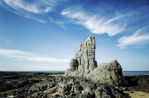 过山之虎的寓意勇猛无畏、气势磅礴，不同情境下能助力成长 。插图