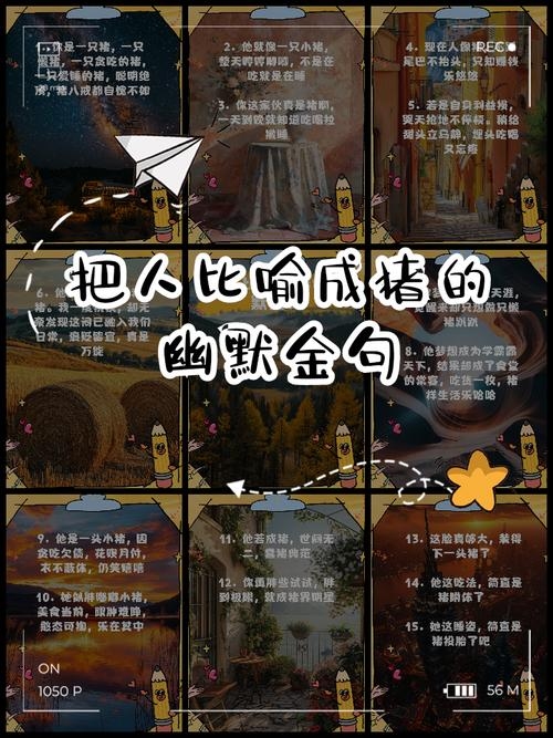 过往之猪，时光沉淀中的精神隐喻插图