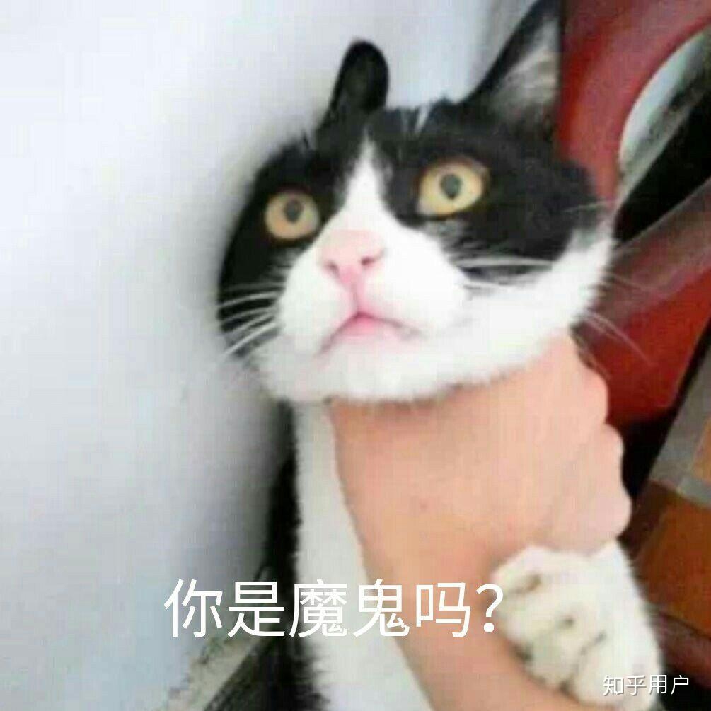 搞笑昵称推荐，强壮病猫、350个拜你所赐智商回家碎觉去了没有胸就不要凶……插图