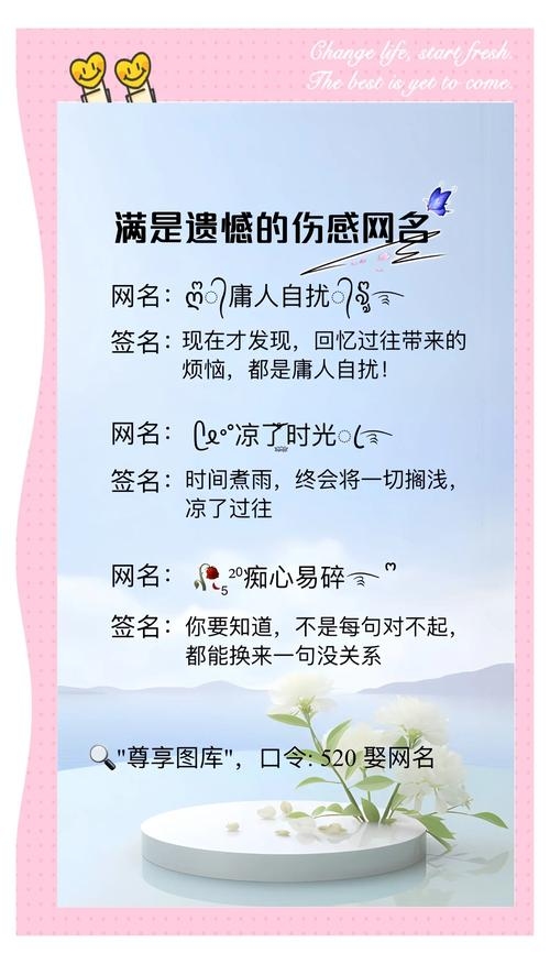个性伤感网名，精准表达内心情感插图