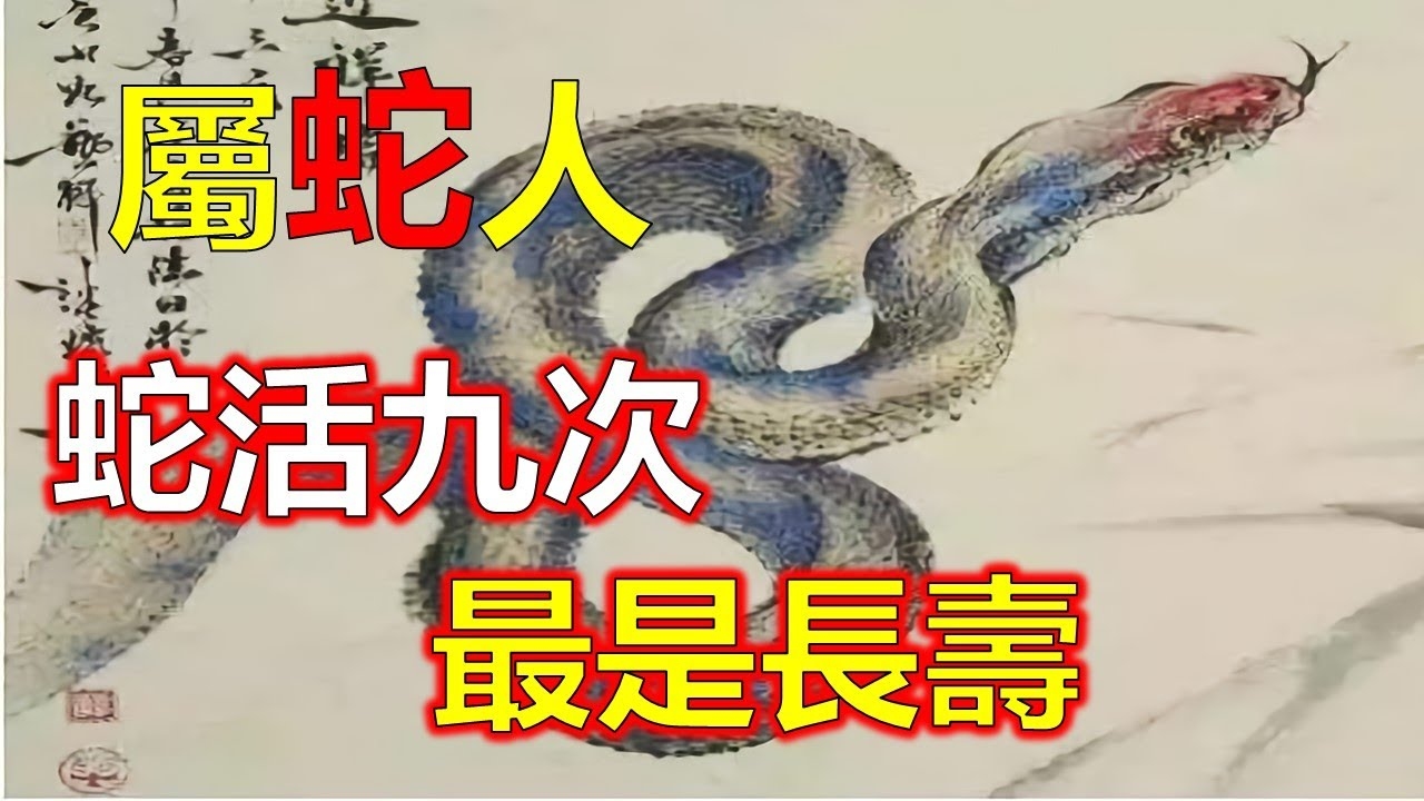 寒冬料峭，生肖之谜，蛇的蛰伏插图