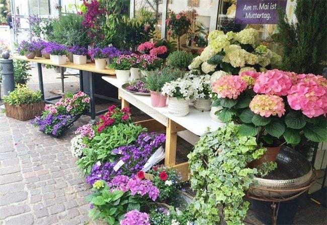 花店名之选，寻找记忆中的花之璀璨插图