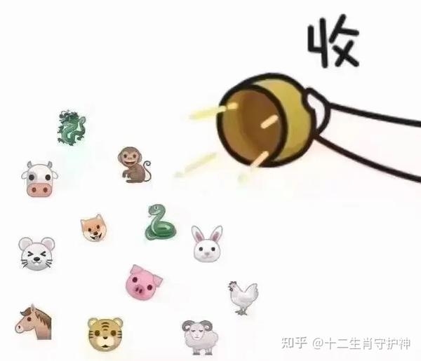 黑灯瞎火打生肖答案插图