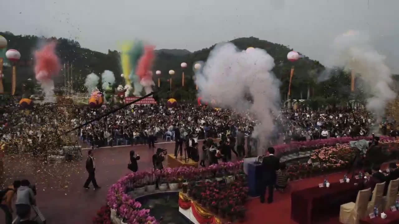 花都之约，在繁花中邂逅真挚友情插图