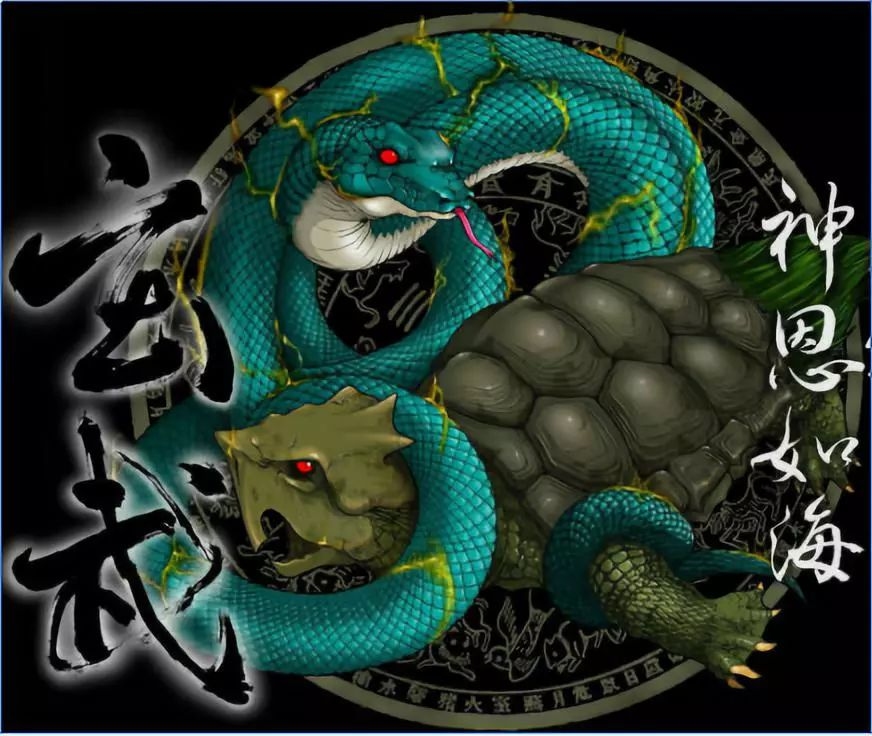 呼风唤雨，生肖猴、龙与虎的神秘力量插图