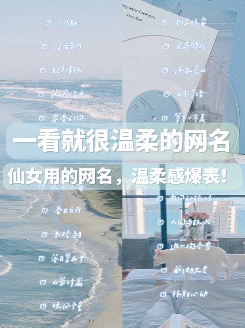 好听的女网名，打造你的专属网络昵称插图