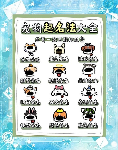 好听宠物名字，给可爱萌宠起专属的浪漫惊喜插图