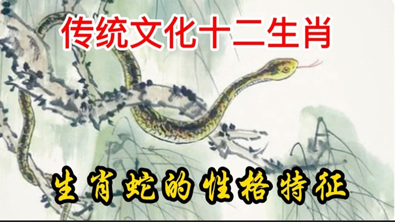 虎头蛇尾打一生肖，从生肖传说到性格特征之谜插图