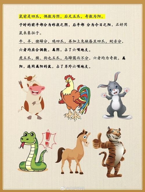 海阔天空，生肖之谜的探寻插图