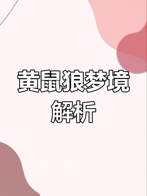 黄鼠狼的梦境，与黑暗共舞的警示与启示插图