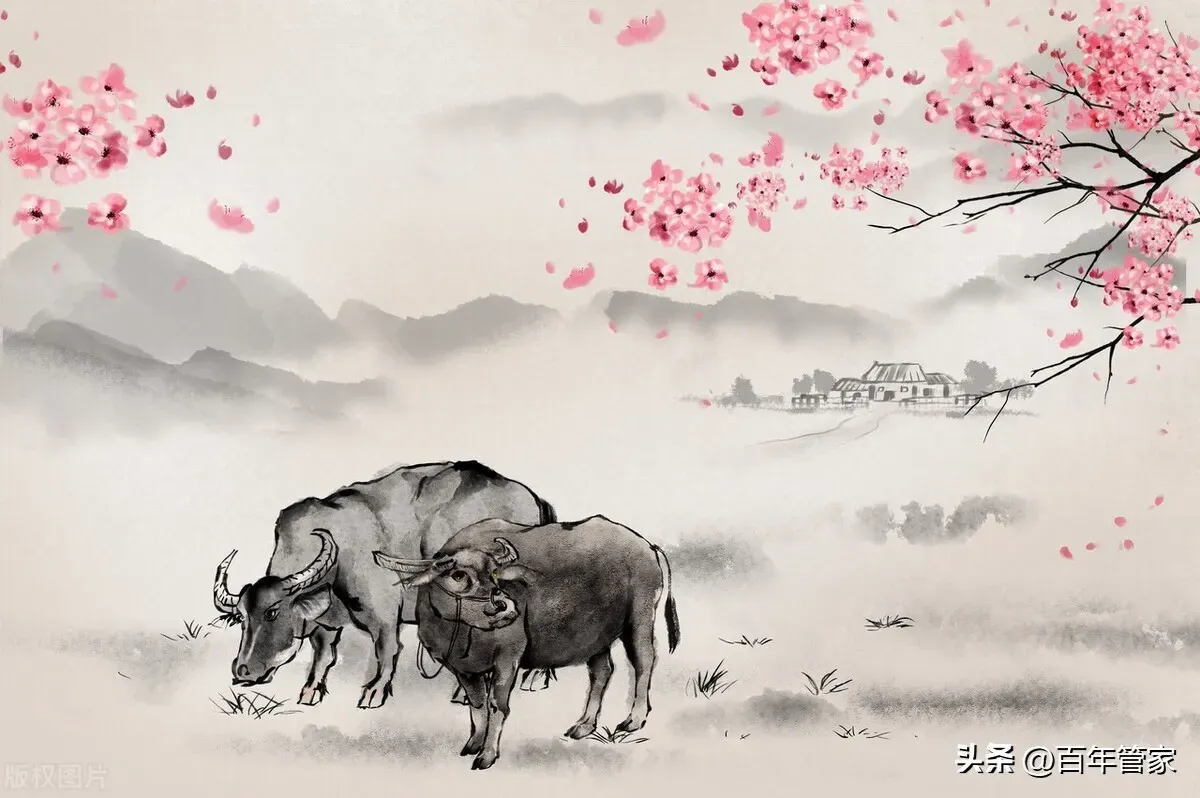 火烧眉毛与马相关，生肖对应契合传统文化理解。插图