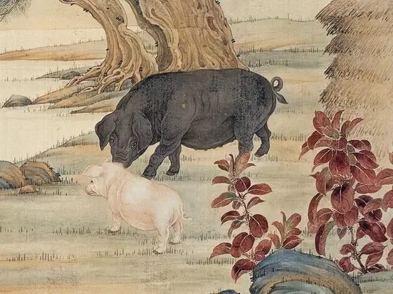 行云流水话生肖——探寻那般灵动之属插图