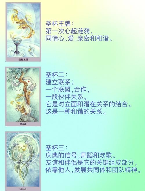 花影塔罗，探索神秘塔罗世界的花语之旅插图
