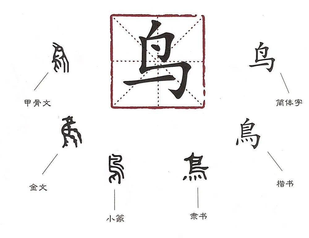 汉字大全解读 | 字形演变趣谈插图