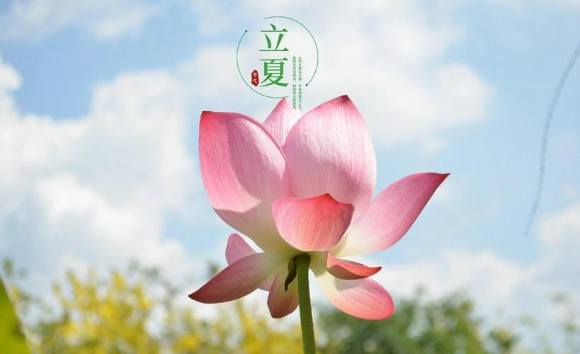 几点立夏，季节流转中的自然奇观插图