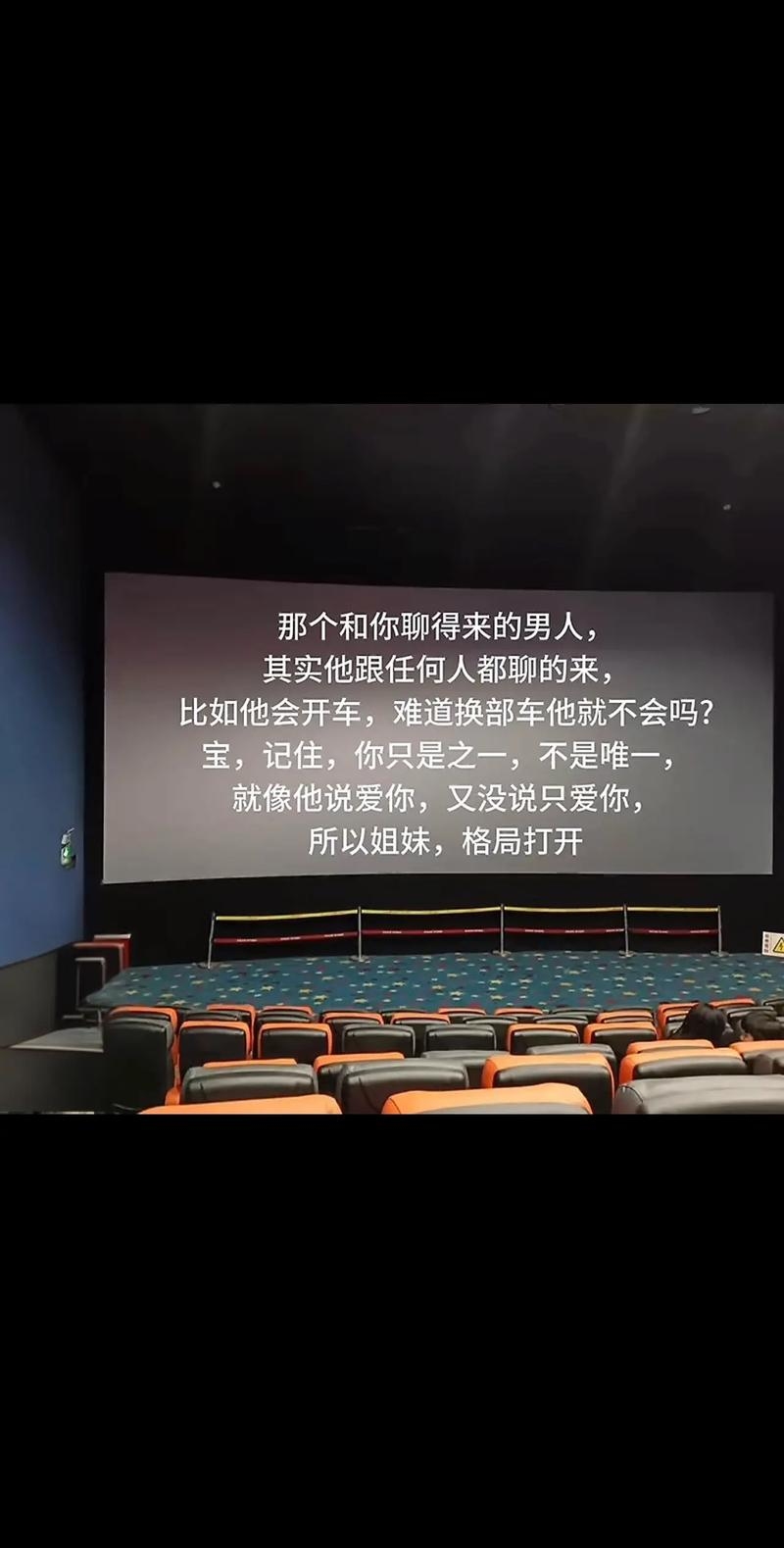 金都情缘聊天室，一场跨越时空的深情相遇插图