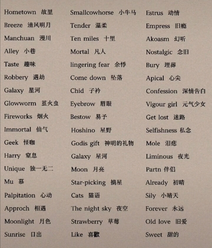 简单优雅的英文网名推荐插图