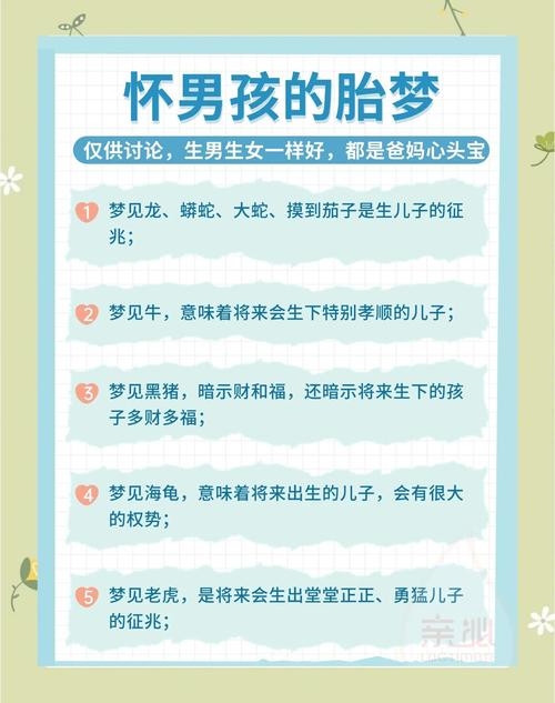 九个最准怀男孩胎梦揭秘插图