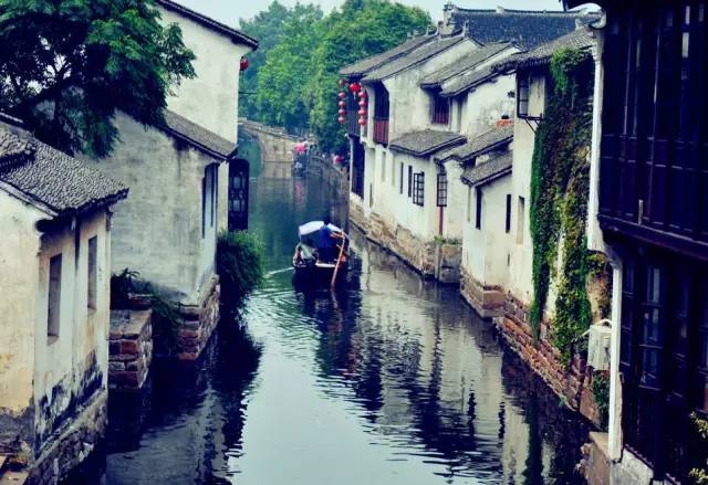 建湖征婚，缘起水乡，情定今生插图