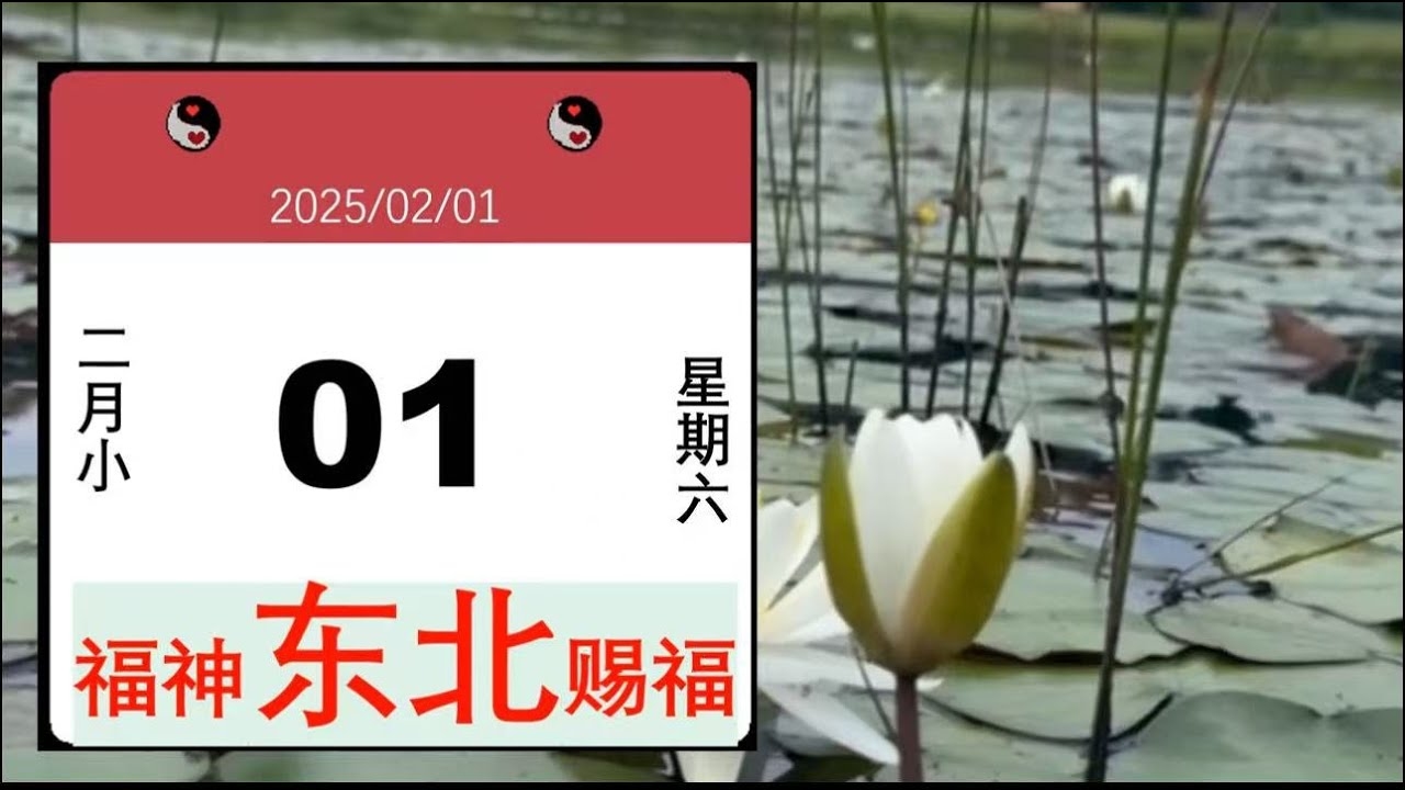 今年财神方位，正北、西北及东南，布局得宜财源广进插图