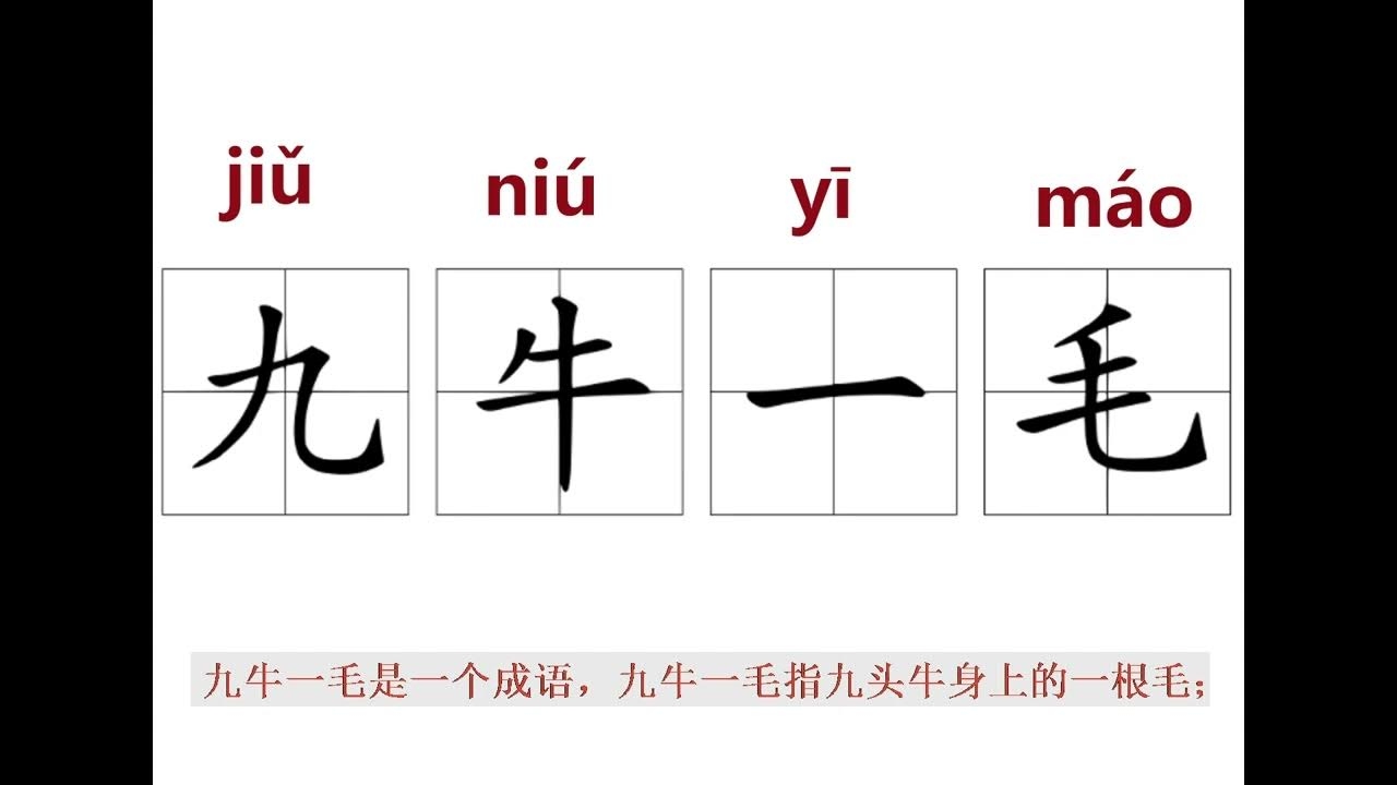 九牛一毛指的是什么生肖？插图
