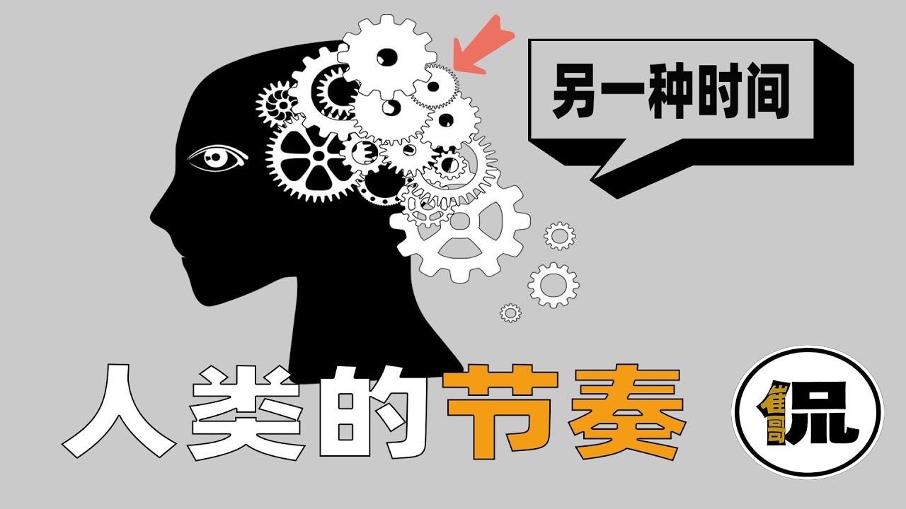 今日星期几，时间的流转与生活的节奏插图