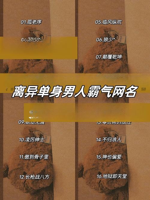 解锁单身新玩法，3款高颜值单身网名组合，让你秒变单身贵族插图