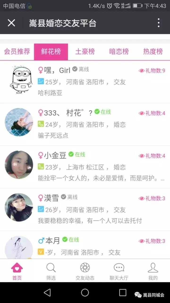 交友婚恋网，开启理想伴侣的新方式插图