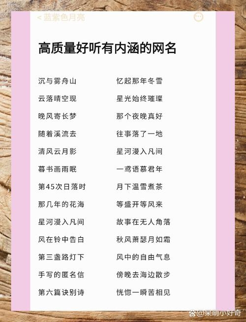 精选网名，打造个性魅力，激发他人兴趣插图