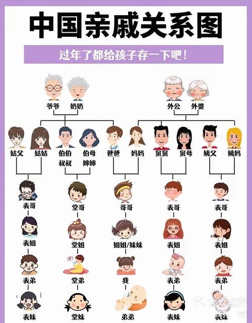 家谱网，开启家族记忆的智慧之旅插图