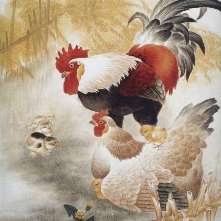 家丑外扬生肖，属相解读插图