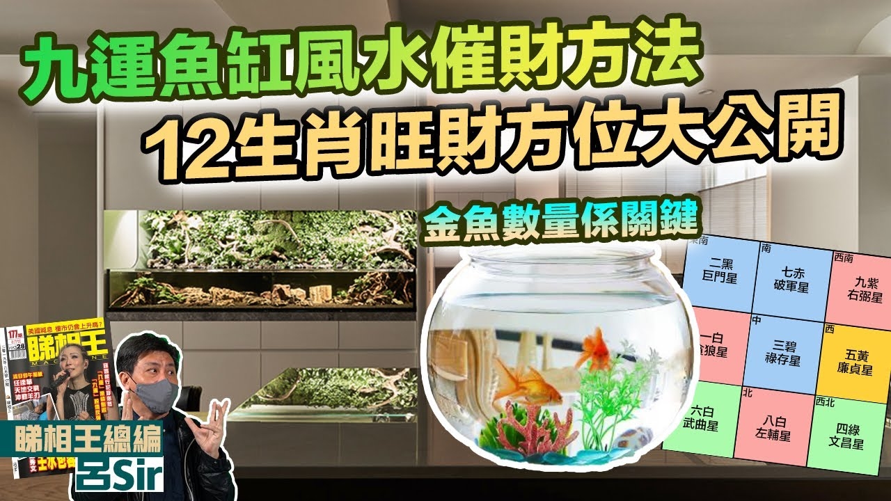 金鱼缸风水布局解析插图