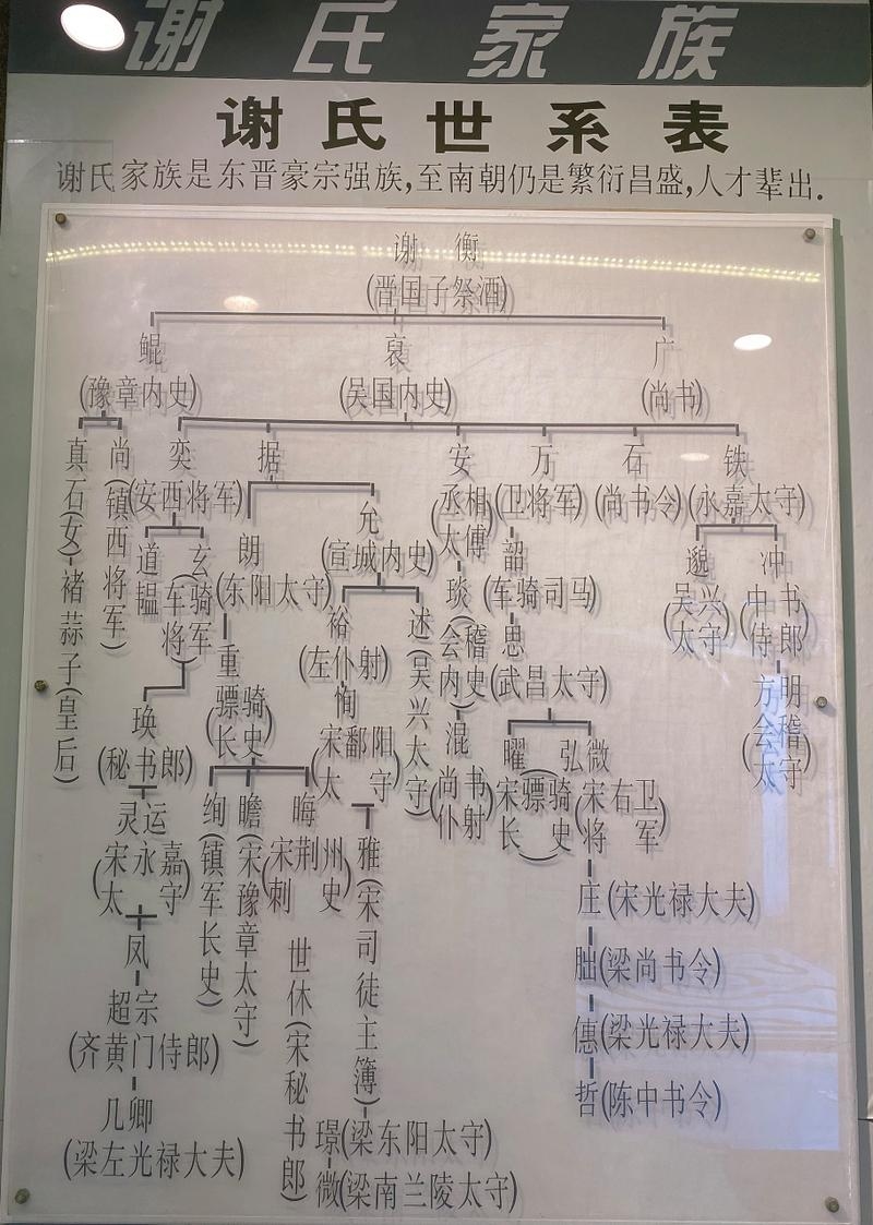 金陵谢氏家谱，中华文明的家族血脉图谱插图