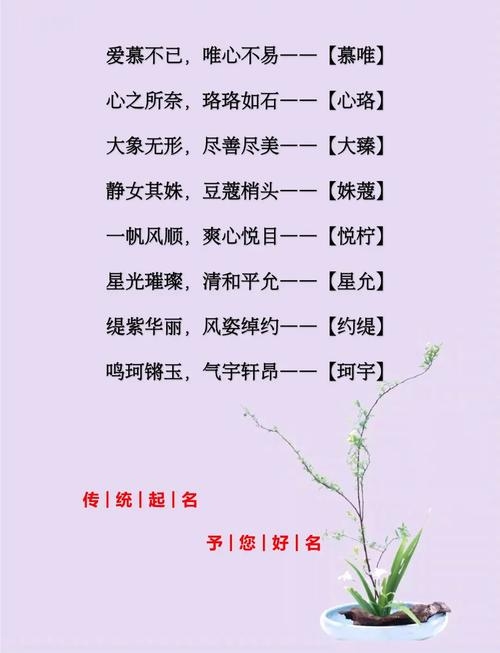 解锁新生儿爆款名字,从流行趋势到文化寓意的深度剖析插图 解锁新生儿爆款名字,从流行趋势到文化寓意的深度剖析插图