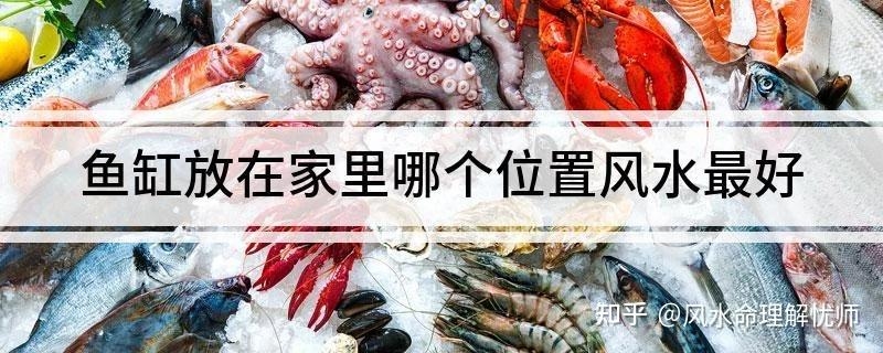 金鱼缸摆放位置，提升家居风水与生态平衡插图