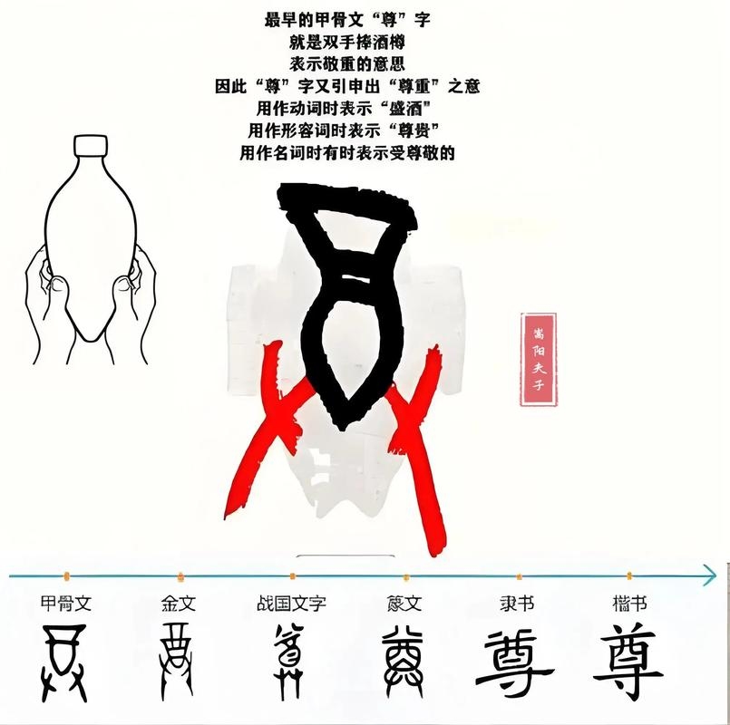 解析尊字的拼音及其文化内涵插图