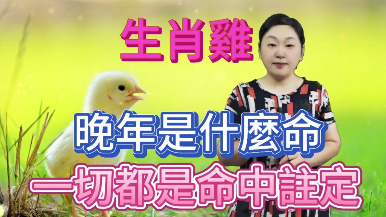 今夕有酒谜生肖，答案揭晓是鸡。插图