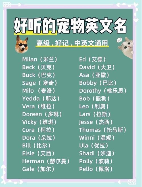 精选英文宠物名，时尚洋气又好听插图