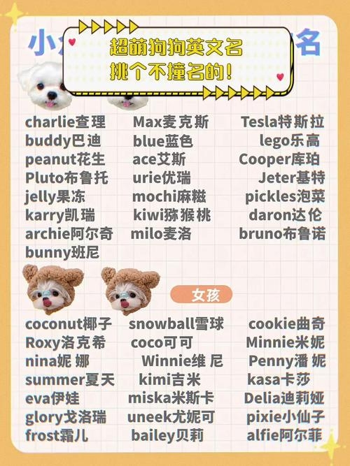 精选英文名，为宠物和宝宝起名插图