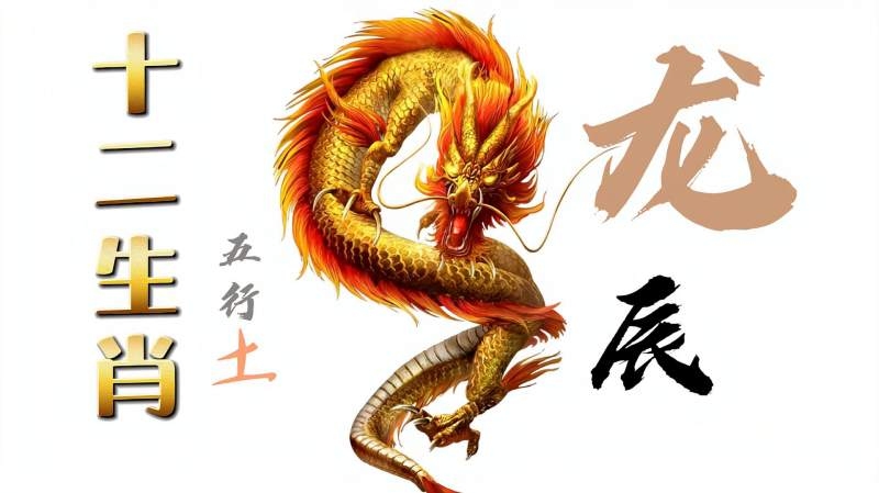 九霄云外指的生肖是龙。插图 九霄云外指的生肖是龙。插图