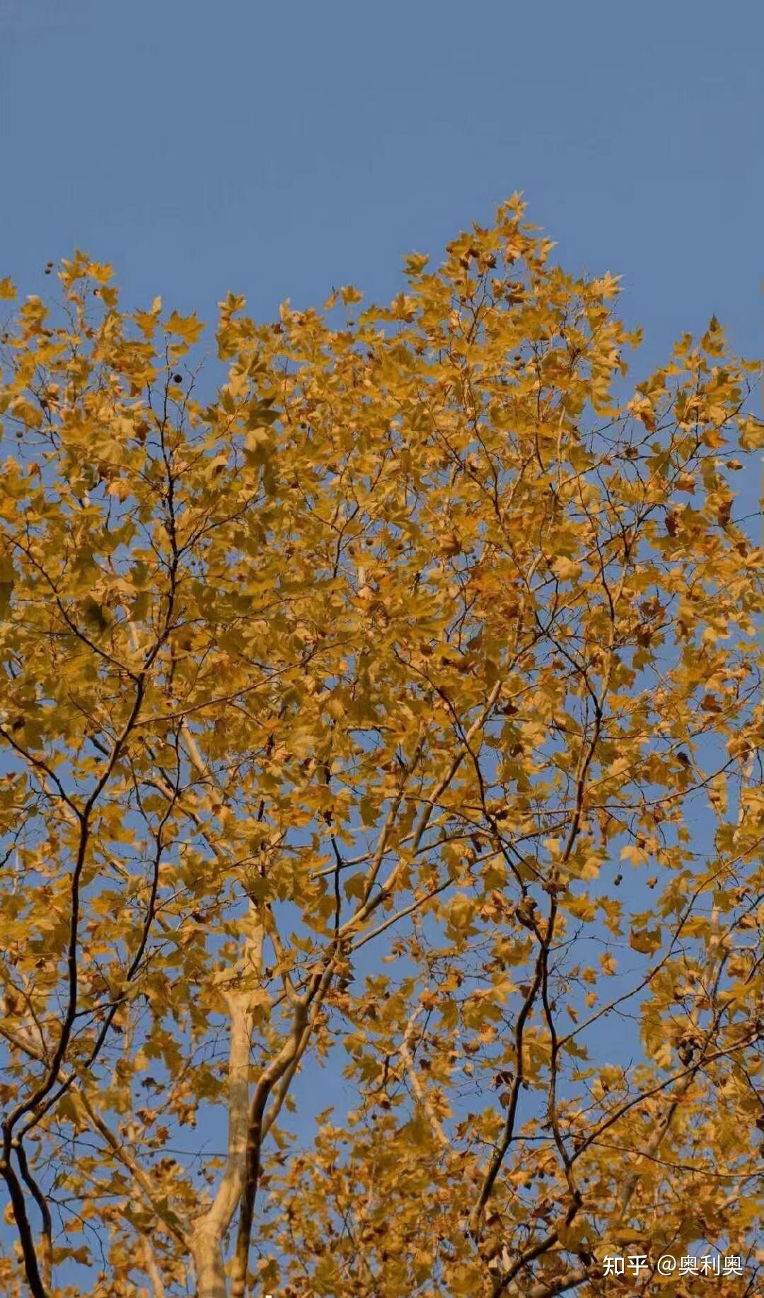九月二十三,秋意渐浓,收获的季节插图 九月二十三,秋意渐浓,收获的季节插图