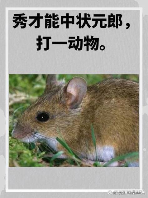 急中生智，生肖鼠的智慧与猴子的机智插图