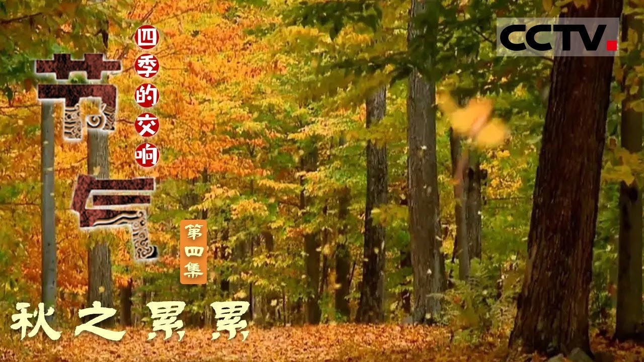 精准时刻，立秋的到来，几点几分几秒的微妙变化插图