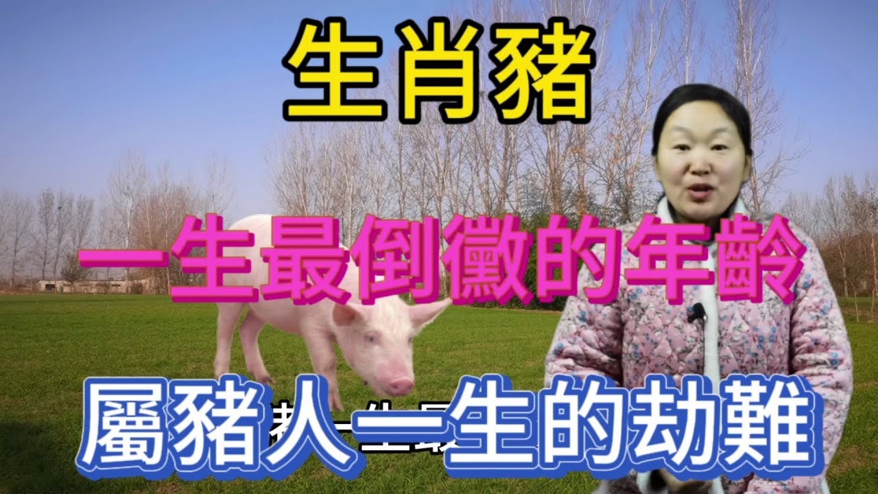 苦不堪言的生肖，猪、牛、狗等插图