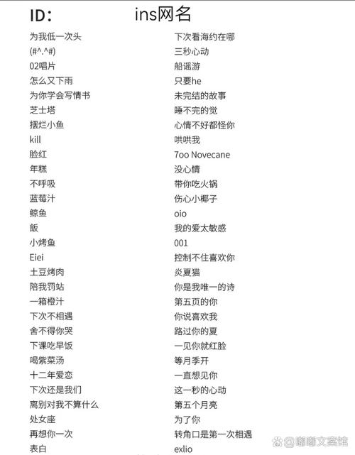 快手昵称，解锁专属魅力，开启社交新境界插图