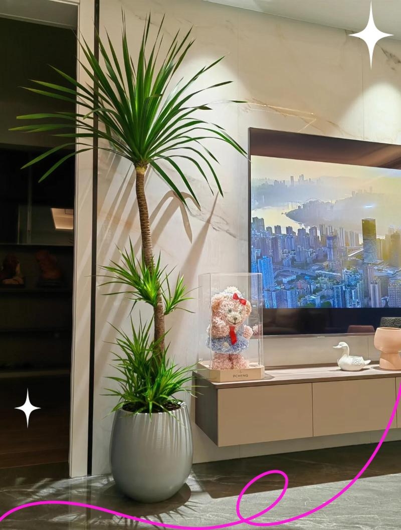 客厅风水,绿植挡煞,色彩与布局的吉祥之道插图 客厅风水,绿植挡煞,色彩与布局的吉祥之道插图