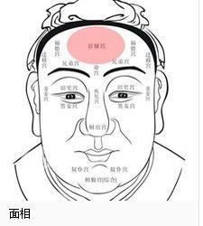 看相视频，探寻生命本质的独特途径插图